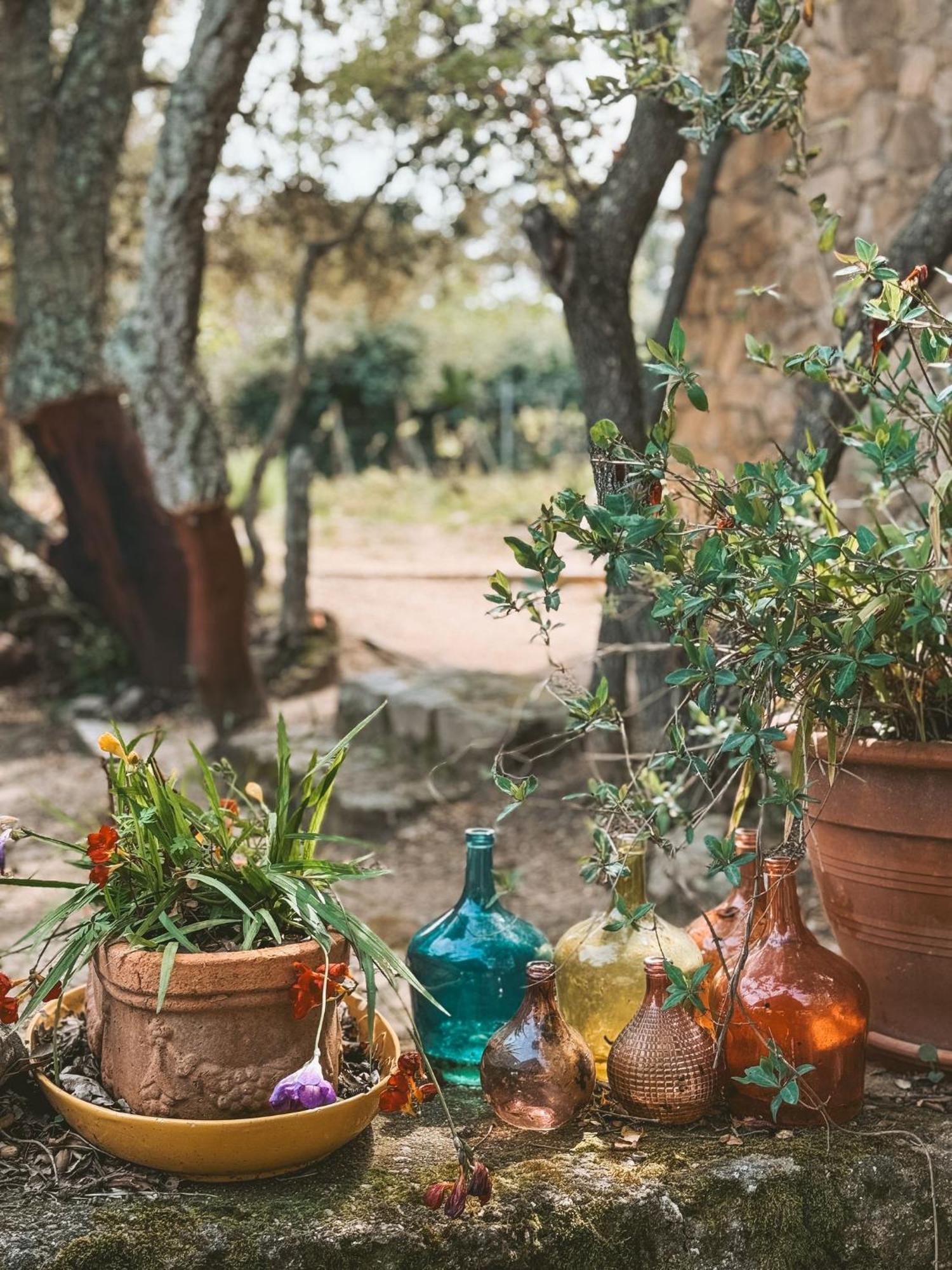 Agriturismo Il Muto Di Gallura Aggius Exterior photo
