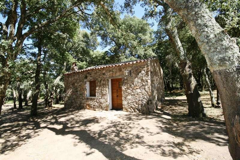 Agriturismo Il Muto Di Gallura Aggius Room photo